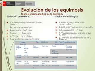 Evolución de las equimosis
Cronocromodiagnostico de la Equimosis
Evolución cromática:
 1.-Rojo oscuro o violáceo: pocas
horas
24 horas: margen claro
 2.-negruzco: 2 a 3 dias
 3.-Azul: 3 a 6 dias
 4.-Verde : 4 a 10 dias
 5.-Amarillenta: mas de 15 dias
Evolución histólogica
 1.-a las 24 horas: eritrocitos
deformados
 2.-infiltración fagocitaria: 4 a 5 dias
 3.-hemosiderina 7 días
 4.-Visualización del granulo graso
12 días
 5.- cristales de hemoidina al 1er y
2do mes
 