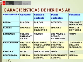 CARACTERISTICAS DE HERIDAS AB
FORMA ELIPTICA ELIPTICA PECECITO CIRCULAR O
TRIANGULAR
BORDES LINEALES LINEALES
EQUIMOTICO
LINEALES ANILLO DE
CONTUSION
EXTREMOS COLA DE
ENTRADA Y
SALIDA
AGUDOS UNO AGUDO Y
OTRO EN
ESCOTADURA
NO HAY
PROFUNDIDAD PIEL, TCSC Y
VASOS
SUPERFIC.
HASTA MUSC.
PUEDE LLEGAR
A HUESOS
CAVIDADES Y
ORGANOS
PROFUNDOS
CAVIDADES Y
ORGANOS
PROFUNDOS
PAREDES NO HAY LISAS Y PLANA LISAS LISAS
PREDOMINANTE PREDOMINANTE
EXTERNA EXTERNA
Punzante
HEMORRAGIA EXTERNA INTERNA
Caracteristica Cortante Contuso
cortante
Punzo
cortantes
 