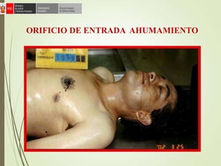 ORIFICIO DE ENTRADA AHUMAMIENTO
 