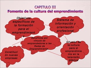 Objetivos específicos de la formación para el emprendimiento Sistema de información y orientación profesional Beneficios por vínculo de emprendedores a las Redes de Emprendimiento . Constitución nuevas empresas Difusión de la cultura para el emprendimiento en la televisión pública