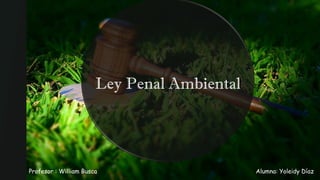 Ley Penal Ambiental
Alumna: Yoleidy Díaz
Profesor : William Busca
 