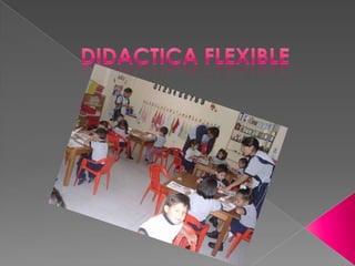 DIDACTICA FLEXIBLE