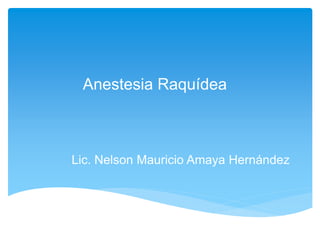 Anestesia Raquídea
Lic. Nelson Mauricio Amaya Hernández
 