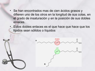 • Se han encontrados mas de cien ácidos grasos y
  difieren uno de los otros en la longitud de sus colas, en
  el grado de insaturación y en la posición de sus dobles
  enlaces.
• Estos dobles enlaces es el que hace que hace que los
  lípidos sean sólidos o líquidos
 