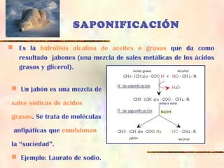 SAPONIFICACIÓN
 Es la hidrólisis alcalina de aceites o grasas que da como
resultado jabones (una mezcla de sales metálicas de los ácidos
grasos y glicerol).
 Un jabón es una mezcla de
sales sódicas de ácidos
grasos. Se trata de moléculas
anfipáticas que emulsionan
la “suciedad”.
 Ejemplo: Laurato de sodio.
 