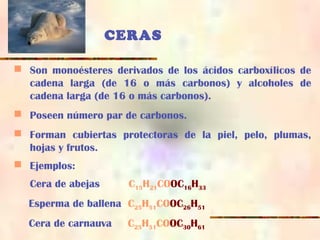 CERAS
 Son monoésteres derivados de los ácidos carboxílicos de
cadena larga (de 16 o más carbonos) y alcoholes de
cadena larga (de 16 o más carbonos).
 Poseen número par de carbonos.
 Forman cubiertas protectoras de la piel, pelo, plumas,
hojas y frutos.
 Ejemplos:
Cera de abejas C15H21COOC16H33
Esperma de ballena C25H51COOC26H51
Cera de carnauva C25H51COOC30H61
 