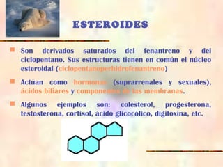 ESTEROIDES
 Son derivados saturados del fenantreno y del
ciclopentano. Sus estructuras tienen en común el núcleo
esteroidal (ciclopentanoperhidrofenantreno)
 Actúan como hormonas (suprarrenales y sexuales),
ácidos biliares y componentes de las membranas.
 Algunos ejemplos son: colesterol, progesterona,
testosterona, cortisol, ácido glicocólico, digitoxina, etc.
 