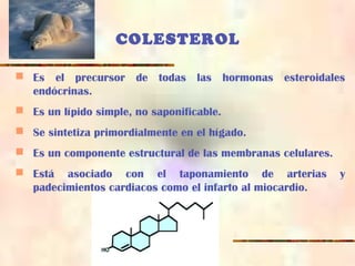 COLESTEROL
 Es el precursor de todas las hormonas esteroidales
endócrinas.
 Es un lípido simple, no saponificable.
 Se sintetiza primordialmente en el hígado.
 Es un componente estructural de las membranas celulares.
 Está asociado con el taponamiento de arterias y
padecimientos cardiacos como el infarto al miocardio.
 