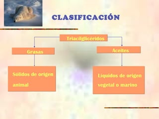CLASIFICACIÓN
TriacilglicéridosTriacilglicéridos
GrasasGrasas AceitesAceites
Sólidos de origen
animal
Sólidos de origen
animal
Líquidos de origen
vegetal o marino
Líquidos de origen
vegetal o marino
 