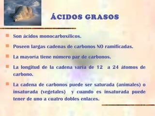 ÁCIDOS GRASOS
 Son ácidos monocarboxílicos.
 Poseen largas cadenas de carbonos NO ramificadas.
 La mayoría tiene número par de carbonos.
 La longitud de la cadena varía de 12 a 24 átomos de
carbono.
 La cadena de carbonos puede ser saturada (animales) o
insaturada (vegetales) y cuando es insaturada puede
tener de uno a cuatro dobles enlaces.
 
