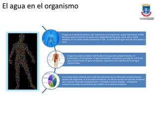 El agua en el organismo
El agua es el elemento químico más importante en el organismo, puede representar el 60%
del peso corporal total en un adulto sano (dependiendo del peso, edad, sexo y tejido
adiposo). En un recién nacido representa el 75%.. La cantidad de agua varía de unos tejidos a
otros
El agua se puede considerar distribuida en dos grandes compartimientos: El
Extracelular y el Intracelular. El agua extracelular, representa cerca del 35 a 40 % del
agua corporal total. El agua intracelular, representa cerca del 60 a 65 % del agua
corporal total.
El principio básico utilizado para medir los volúmenes de los diferentes compartimientos
líquidos del organismo, es el principio de dilución. Un cálculo sencillo nos permite establecer
que: Volumen Total del Compartimiento = Cantidad sustancia añadida - cantidad de
sustancia excretada Concentración por mililitro de la solución problema
 