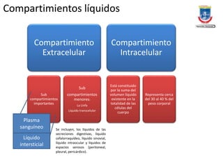 Compartimientos líquidos
Compartimiento
Extracelular
Sub
compartimientos
importantes
Sub
compartimientos
menores:
La Linfa
Líquido transcelular
Compartimiento
Intracelular
Está constituido
por la suma del
volumen líquido
existente en la
totalidad de las
células del
cuerpo
Representa cerca
del 30 al 40 % del
peso corporal
Plasma
sanguíneo
Líquido
intersticial
Se incluyen, los líquidos de las
secreciones digestivas, líquido
cefalorraquídeo, líquido sinovial,
líquido intraocular y líquidos de
espacios serosos (peritoneal,
pleural, pericárdico).
 