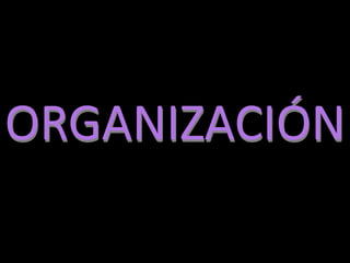 Dirección: Calle Larga 5-27 entre Hermano Miguel y Sucre