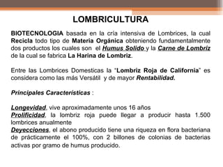 LOMBRICULTURA BIOTECNOLOGIA  basada en la cría intensiva de Lombrices, la cual  Recicla  todo tipo de  Materia Orgánica  obteniendo fundamentalmente dos productos los cuales son  el  Humus Solido   y la  Carne de Lombriz  de la cual se fabrica  La Harina de Lombriz . Entre las Lombrices Domesticas la “ Lombriz Roja de California ” es considera como las más Versátil  y de mayor  Rentabilidad. Principales Características  :  Longevidad , vive aproximadamente unos 16 años Prolificidad , la lombriz roja puede llegar a producir hasta 1.500 lombrices anualmente Deyecciones , el abono producido tiene una riqueza en flora bacteriana de prácticamente el 100%, con 2 billones de colonias de bacterias activas por gramo de humus producido .  