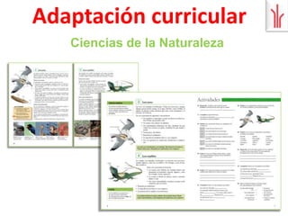  Guía en CDOFERTA 2011-2012: 1º y 3º ESO: Lengua (adaptación de la Serie DEBATE)