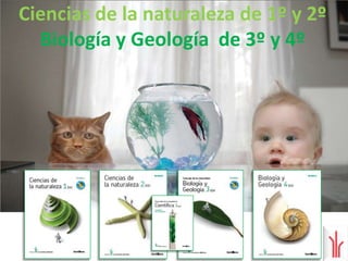 Lengua 1º a 4º (Serie DIÁLOGO)Nuevo enfoque didáctico orientado a la comunicación y la práctica constante de los contenidos fundamentales. (80 % de actividades, 20% de teoría)