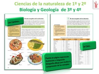 Lengua 1º a 4º (Serie DIÁLOGO)Página de evaluación final por unidad