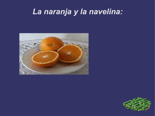 La naranja y la navelina: 