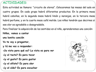 ACTIVIDADES:
Esta actividad se llamara: “circuito de olores”. Colocaremos las mesas del aula en
cuatro grupos. En cada grupo habrá diferentes productos. En la primera mesa
habrá cebollas, en la segunda mesa habrá limón y naranjas, en la tercera mesa
habrá perfume, y en la cuarta mesa café molido. Los niños tendrán que decirnos si
ese olor es agradable o desagradable.
Para finalizar la adquisición de los sentidos en el niño, aprenderemos una canción:
Niños, vamos a cantar
una bonita canción
Yo te voy a preguntar,
y tú me vas a responder:
-¿la vista para qué es? La vista es para ver
-¿y el tacto? Es para tocar
-¿y el gusto? Es para gustar
-¿y el olfato? Es para oler
-¿y el oído? Es para escuchar
 