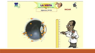 Organo de los sentidos 