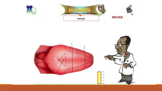 Organo de los sentidos 
