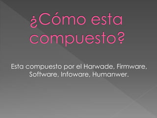 Esta compuesto por el Harwade, Firmware,
Software, Infoware, Humanwer.
 