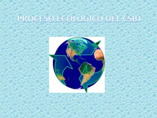 PROCESO ECOLOGICO DEL CSBT,[object Object]