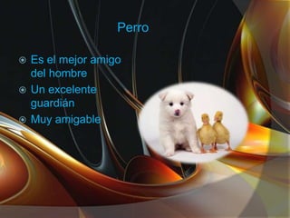 Perro
Es el mejor amigo
del hombre
Un excelente
guardián
Muy amigable