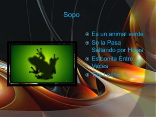 Sopo
Es un animal verde
Se la Pasa
Saltando por Hojas
Es bonita Entre
Veces
Tira Leche