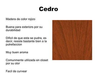 Cedro
Madera de color rojizo
Buena para exteriors por su
durabilidad
Dificil de que esta se pudra, es
decir, resiste bastante bien a la
putrefaccion
Muy buen aroma
Comunmente utilizada en closet
por su olor
Facil de curvear
 