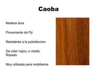 Caoba
Madera dura
Proveniente de Fiji
Resistente a la putrefaccion
De color rojizo, o medio
Rosado
Muy utilizada para mobiliarios
 