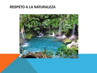 RESPETO A LA NATURALEZA
 