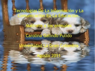 Tecnologias De La Información y La Comunicación En La Educación.   Maltrato a los animales   Carolina Galindo Pulido   Universidad La Gran Colombia   Agosto 2011 