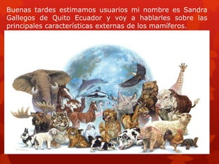 Buenas tardes estimamos usuarios mi nombre es Sandra
Gallegos de Quito Ecuador y voy a hablarles sobre las
principales características externas de los mamíferos.
 