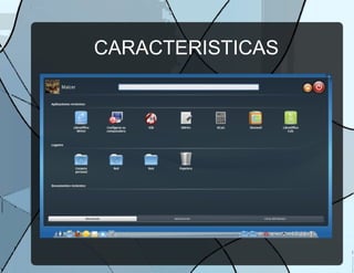 CARACTERISTICAS
 