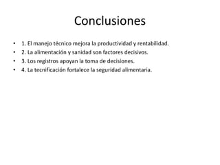 Conclusiones
• 1. El manejo técnico mejora la productividad y rentabilidad.
• 2. La alimentación y sanidad son factores decisivos.
• 3. Los registros apoyan la toma de decisiones.
• 4. La tecnificación fortalece la seguridad alimentaria.
 
