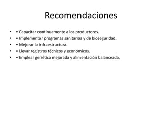 Recomendaciones
• • Capacitar continuamente a los productores.
• • Implementar programas sanitarios y de bioseguridad.
• • Mejorar la infraestructura.
• • Llevar registros técnicos y económicos.
• • Emplear genética mejorada y alimentación balanceada.
 