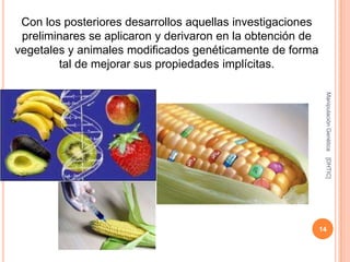 Con los posteriores desarrollos aquellas investigaciones
 preliminares se aplicaron y derivaron en la obtención de
vegetales y animales modificados genéticamente de forma
        tal de mejorar sus propiedades implícitas.




                                                             Manipulación Genética
                                                             [DHTIC]
                                                            14
 