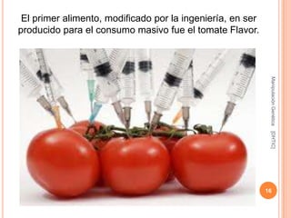 El primer alimento, modificado por la ingeniería, en ser
producido para el consumo masivo fue el tomate Flavor.




                                                             Manipulación Genética
                                                             [DHTIC]
                                                            16
 