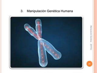 3.   Manipulación Genética Humana




                                     Manipulación Genética
                                     [DHTIC]
                                    21
 