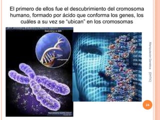 El primero de ellos fue el descubrimiento del cromosoma
humano, formado por ácido que conforma los genes, los
     cuáles a su vez se “ubican” en los cromosomas




                                                           Manipulación Genética
                                                           [DHTIC]
                                                          24
 