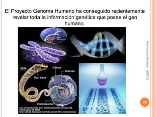 El Proyecto Genoma Humano ha conseguido recientemente
   revelar toda la información genética que posee el gen
                          humano.




                                                           Manipulación Genética
                                                           [DHTIC]
                                                       26
 