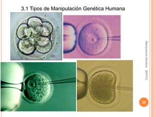 3.1 Tipos de Manipulación Genética Humana




                                             Manipulación Genética
                                             [DHTIC]
                                            28
 