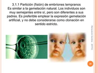 3.1.1 Partición (fisión) de embriones tempranos
Es similar a la gemelación natural. Los individuos son
 muy semejantes entre sí, pero son diferentes a sus
padres. Es preferible emplear la expresión gemelación
 artificial, y no debe considerarse como clonación en
                     sentido estricto.




                                                          Manipulación Genética
                                                          [DHTIC]
                                                         29
 