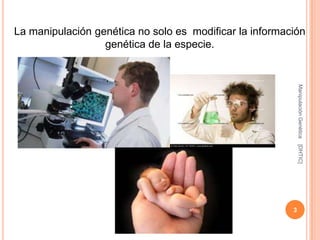 La manipulación genética no solo es modificar la información
                  genética de la especie.




               ...