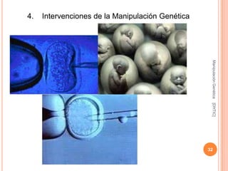 4.   Intervenciones de la Manipulación Genética




                                                   Manipulación Genética
                                                   [DHTIC]
                                                  32
 