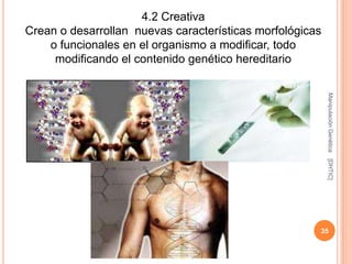 4.2 Creativa
Crean o desarrollan nuevas características morfológicas
    o funcionales en el organismo a modificar, todo
     modificando el contenido genético hereditario




                                                          Manipulación Genética
                                                          [DHTIC]
                                                      35
 