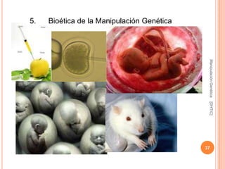 5.   Bioética de la Manipulación Genética




                                             Manipulación Genética
                                             [DHTIC]
                                            37
 