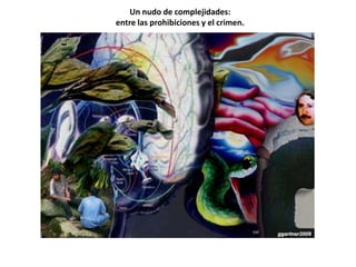 Un nudo de complejidades:
entre las prohibiciones y el crimen.
 