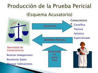 Producción de la Prueba Pericial(Esquema Acusatorio)ConocimientoSOLICITUDCientíficoTécnicoArtísticoEspecializadoINFORME PERICIALSustentadoEnJuicioOralNecesidad de ConocimientoRealizar IndagacionesRecolectar DatosEfectuar Valoraciones